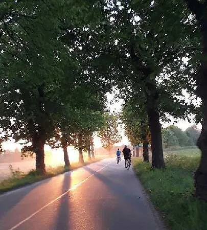 Bed & Breakfast Wiatrak