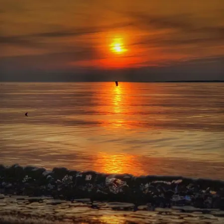 Bed & Breakfast Wiatrak